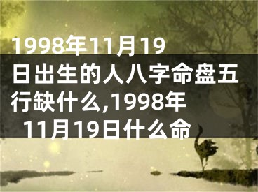 1998年11月19日出生的人八字命盘五行缺什么,1998年11月19日什么命