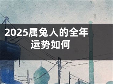 2025属兔人的全年运势如何 