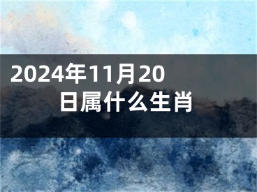 2024年11月20日属什么生肖
