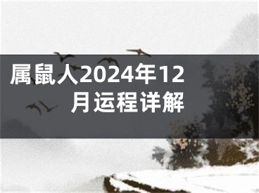 属鼠人2024年12月运程详解