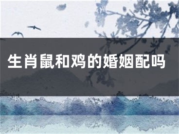 生肖鼠和鸡的婚姻配吗