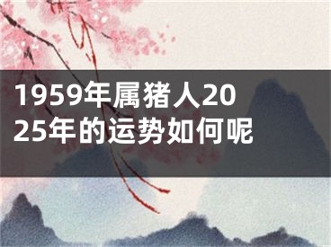 1959年属猪人2025年的运势如何呢 