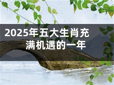 2025年五大生肖充满机遇的一年