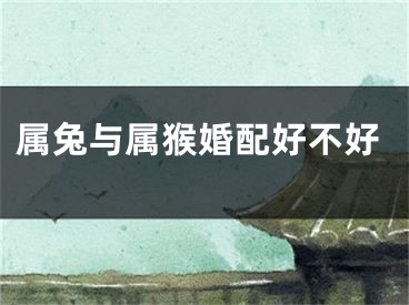 属兔与属猴婚配好不好