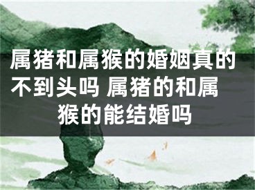 属猪和属猴的婚姻真的不到头吗 属猪的和属猴的能结婚吗