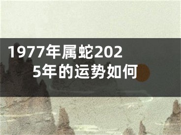 1977年属蛇2025年的运势如何