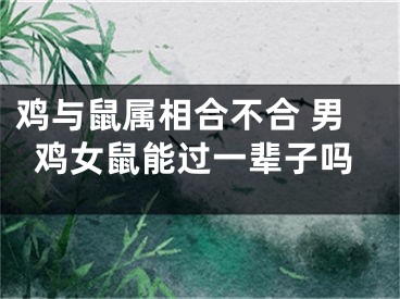 鸡与鼠属相合不合 男鸡女鼠能过一辈子吗