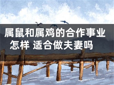 属鼠和属鸡的合作事业怎样 适合做夫妻吗