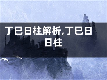 丁巳日柱解析,丁巳日日柱