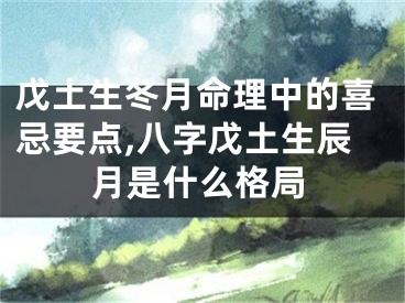 戊土生冬月命理中的喜忌要点,八字戊土生辰月是什么格局