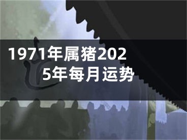 1971年属猪2025年每月运势