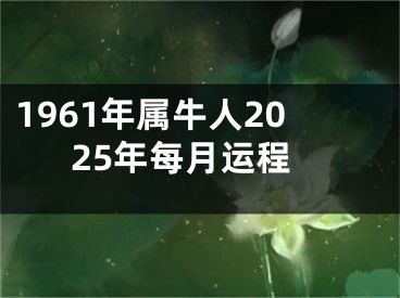 1961年属牛人2025年每月运程