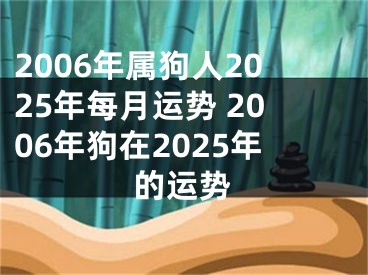 2006年属狗人2025年每月运势 2006年狗在2025年的运势