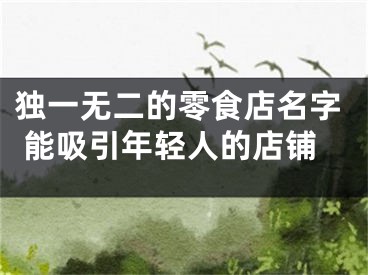 独一无二的零食店名字 能吸引年轻人的店铺