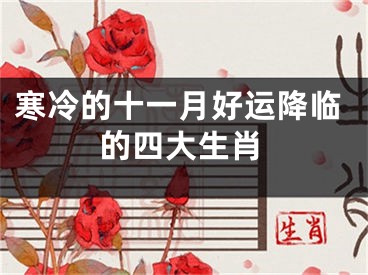 寒冷的十一月好运降临的四大生肖