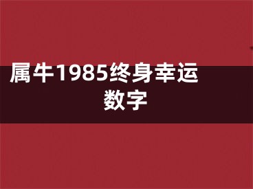 属牛1985终身幸运数字