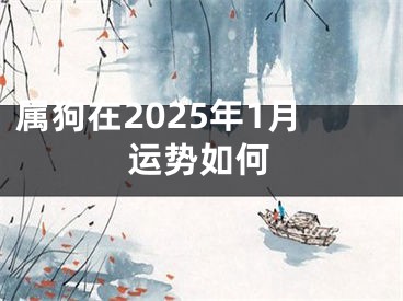 属狗在2025年1月运势如何