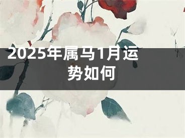 2025年属马1月运势如何