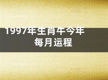 1997年生肖牛今年每月运程