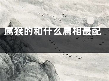 属猴的和什么属相最配 