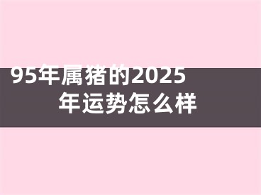 95年属猪的2025年运势怎么样
