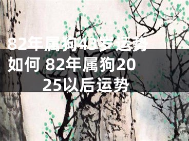 82年属狗43岁运势如何 82年属狗2025以后运势