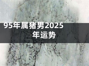 95年属猪男2025年运势