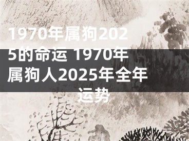 1970年属狗2025的命运 1970年属狗人2025年全年运势