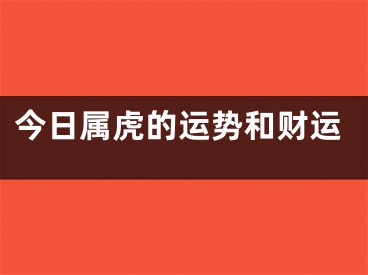 今日属虎的运势和财运