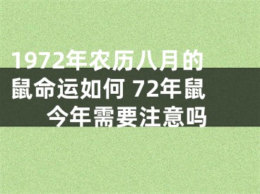 1972年农历八月的鼠命运如何 72年鼠今年需要注意吗
