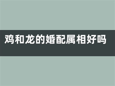 鸡和龙的婚配属相好吗