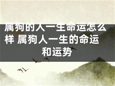 属狗的人一生命运怎么样 属狗人一生的命运和运势