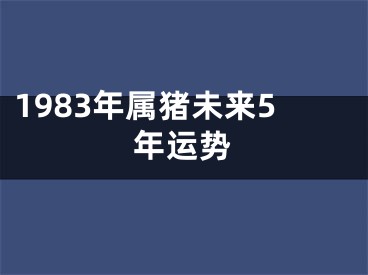 1983年属猪未来5年运势