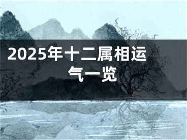 2025年十二属相运气一览