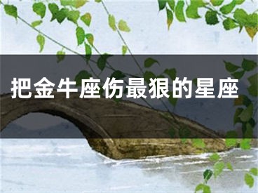 把金牛座伤最狠的星座