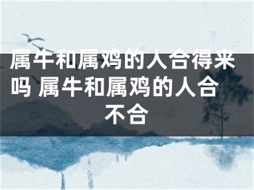 属牛和属鸡的人合得来吗 属牛和属鸡的人合不合