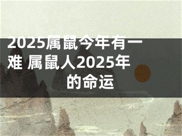 2025属鼠今年有一难 属鼠人2025年的命运