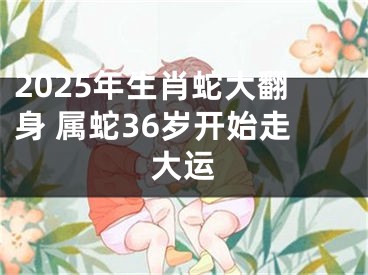 2025年生肖蛇大翻身 属蛇36岁开始走大运