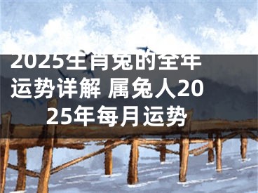 2025生肖兔的全年运势详解 属兔人2025年每月运势