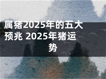 属猪2025年的五大预兆 2025年猪运势