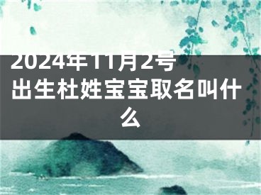 2024年11月2号出生杜姓宝宝取名叫什么