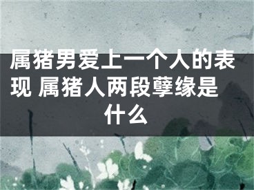属猪男爱上一个人的表现 属猪人两段孽缘是什么