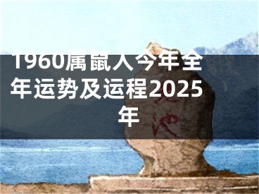 1960属鼠人今年全年运势及运程2025年