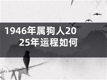 1946年属狗人2025年运程如何