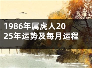 1986年属虎人2025年运势及每月运程