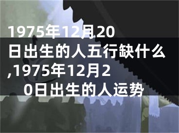 1975年12月20日出生的人五行缺什么,1975年12月20日出生的人运势