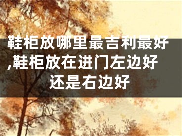 鞋柜放哪里最吉利最好,鞋柜放在进门左边好还是右边好