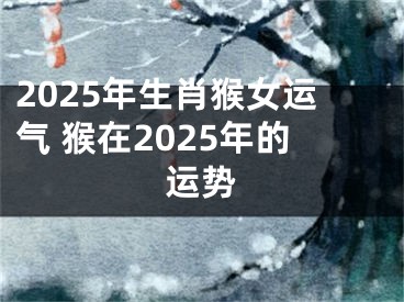 2025年生肖猴女运气 猴在2025年的运势