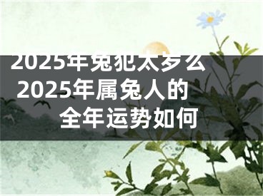 2025年兔犯太岁么 2025年属兔人的全年运势如何