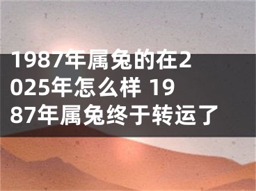 1987年属兔的在2025年怎么样 1987年属兔终于转运了